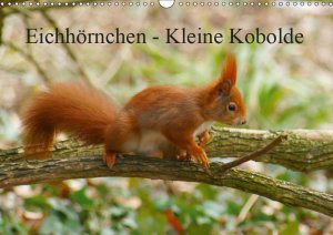 Wandkalender 2019 DIN A3 Eichhörnchen - Kleine Kobolde
