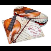 2er-Set Brillenetui und Microfasertuch »Violine«