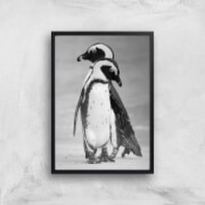 A Couple Of Penguins Giclee Art Print - A2 - Black Frame