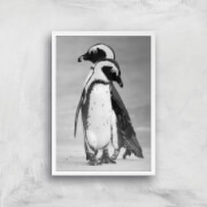 A Couple Of Penguins Giclee Art Print - A2 - White Frame