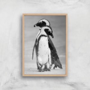 A Couple Of Penguins Giclee Art Print - A2 - Wooden Frame