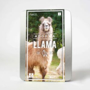 Gift Republic Adopt a llama gift set