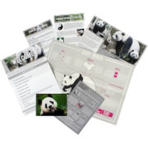 Gift Republic Adopt a panda