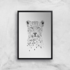 By Iwoot Balazs solti leopard art print - a2 - black frame