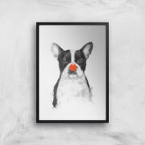 Balazs Solti Red Nosed Bulldog Art Print - A2 - Black Frame