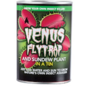 Funtime Grow your own venus fly trap