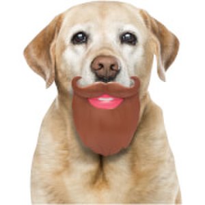 Man's Best Friend Dog Beard Toy