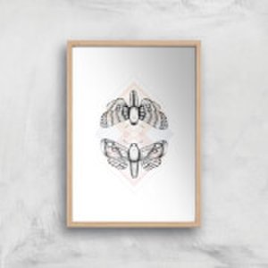 Moth Art Print - A2 - Wood Frame