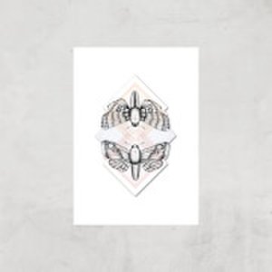 Moth Art Print - A3 - Print Only