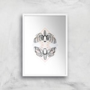 Moth Art Print - A4 - White Frame