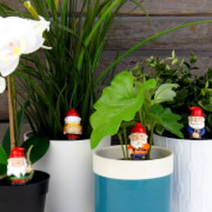 Gift Republic Naughty gnomes - mini plant pot planters