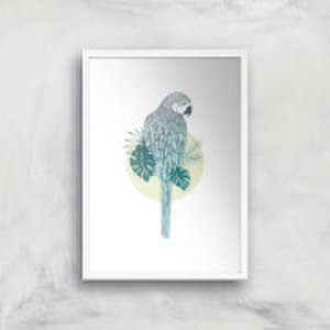 Parrot Art Print - A2 - White Frame