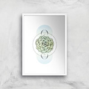 Sempervivum Art Print - A2 - White Frame