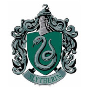 Slytherin Emblem Cardboard Wall Cut Out Harry Potter Wizarding World