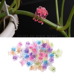 60Pcs Plastic Plant Fix Clips Orchid Clips Garden Support Clips Orchid Grower Flowers Fruit Vine Support