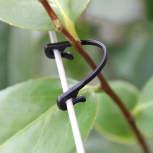 Vines Tied Buckles Fixed Strapping Clips Fastener Lashing Hook for Garden 50pcs Quality Clips Supports Connect to Plants Vines