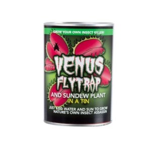 Cultivez votre propre piège à mouches Venus
