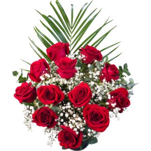 12 Bright Red Freedom Roses