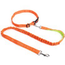 Lekoy Hands free dog leash for running walking hiking