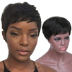 AISI HAIR Female Wig Short Straight Black Wigs for Black Women Natural Look Short Black Wig Heat Resistant Fiber