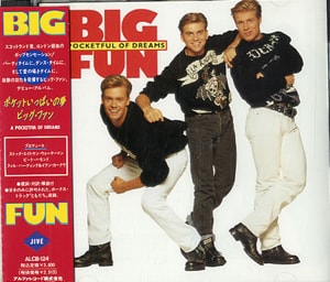 Big Fun A Pocketful Of Dreams 1990 Japanese CD album ALCB-124