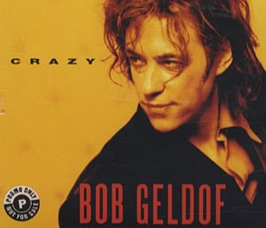 Bob Geldof Crazy 1994 UK CD single VERCD85