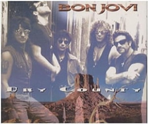 Bon Jovi Dry County 1994 UK CD single JOVDJ13