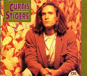 Curtis Stigers I Wonder Why 1991 German CD single 664716