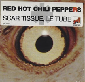 Red Hot Chili Peppers Scar Tissue 1999 German CD single 543916964-9