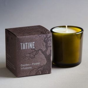 Curious Egg Juniper candle by tatine