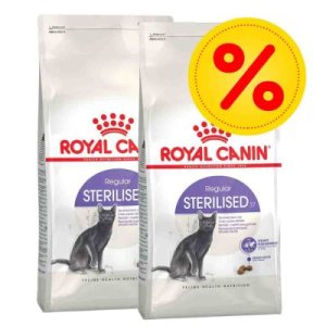 Royal Canin Feline 2 x 3,5/4/8/10 kg - Pack Ahorro - Digestive Care - 2 x 10 kg