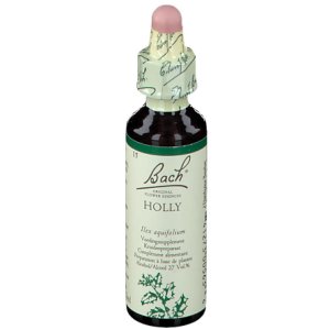 Bach Flower Remedie 15 Holly