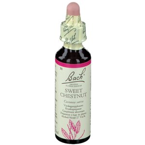 Bach Flower Remedie 30 Sweet Chestnut