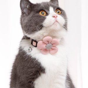 1pc Flower Decor Cat Collar With Buckle