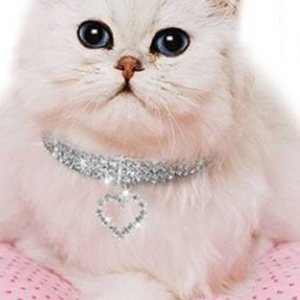 1pc Heart Pendant Rhinestone Cat Necklace