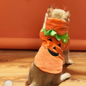 Shein Halloween pumpkin design cat costume