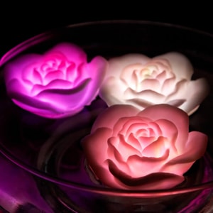 Floating Rose Bath Lights