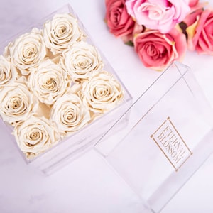 One Year Roses Make Up Box - 9 Piece