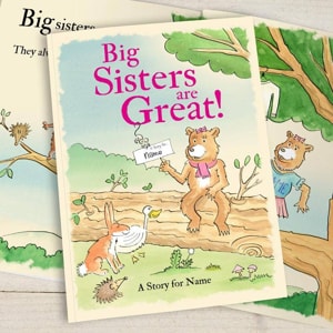 Personalised Big Sisters Are Great Book