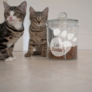 Personalised Cat Treats Jar