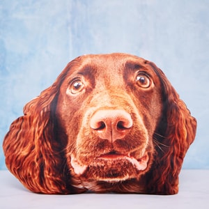 Personalised Dog Face Cushion