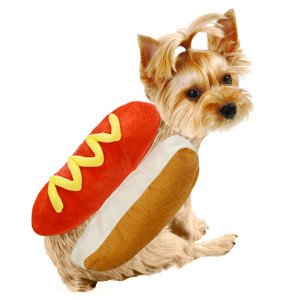 best selling hot chinese products of pet halloween costumes, Hot dog funny halloween outfit for pet dog