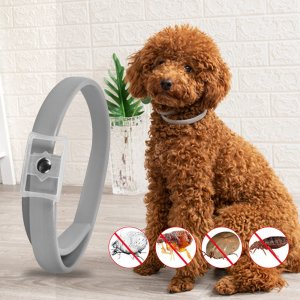 Dog Collar Anti Flea Mosquitoes Ticks Insect Waterproof Herbal Pet Collar 8 Months Protection Dog Accessories Dropshipping