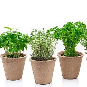 Eco friendly Biodegradable garden pot/paper  pulp planter/plant flower pot