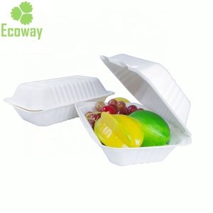 Hot sale Disposable Sugarcane Bagasse Biodegradable  Food container Take Away Lunch Box  Food Packing Box