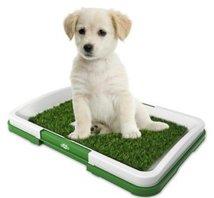New Splashproof tablet pet toilet indoor dog potty dog toilet with lawn