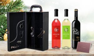 Leather Wine and Accessory Gift Bundle