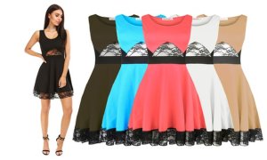 Oops Flared Sleeveless Lace Skater Dress