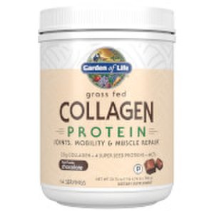 Collagen Protein - Chocolate - 588g
