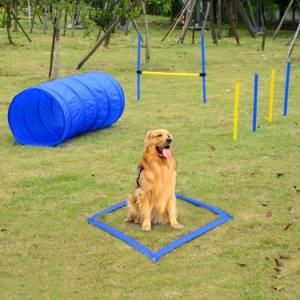 Pawhut Adjustable Pet Agility Training Set-Blue/Yellow